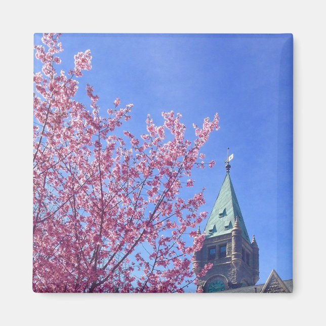 Taylor Tower in Spring, Bryn Mawr Uni Magnet (Vorne)