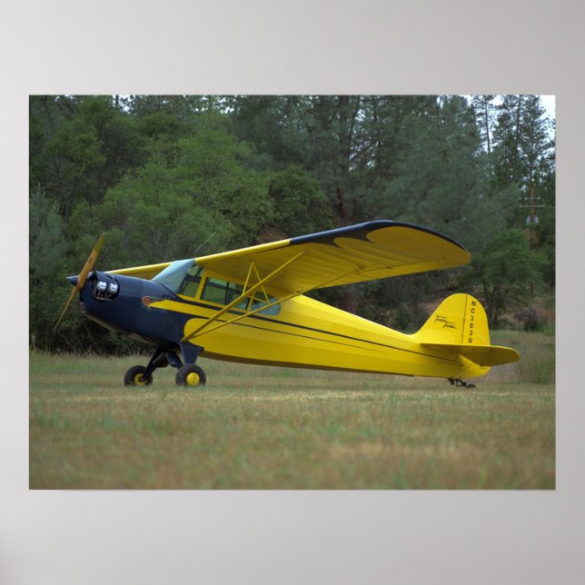 Taylorcraft, DC-65, 1941_Classic Aviation Poster (Vorne)