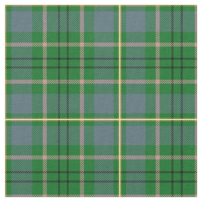 Taylortartan-Druck Stoff (Nahaufnahme)