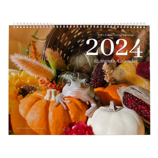 Tays Exotic Critters Rescue 2024 Kalender (Titelbild)