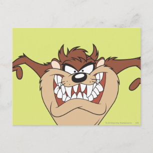 TAZ™ Arms Wide Postkarte