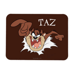 TAZ™ Burning Through Page Magnet
