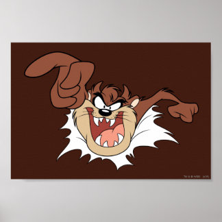 TAZ™ Burning Through Page Poster