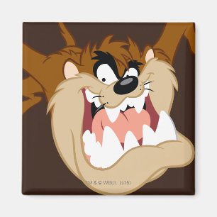 TAZ™ Evil Grin Magnet