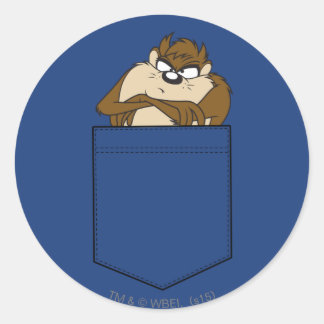 TAZ™ in einer Tasche Runder Aufkleber