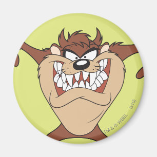 TAZ™ mit 15 Magnet