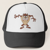 TAZ™ mit 15