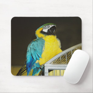 Taz... Mousepad