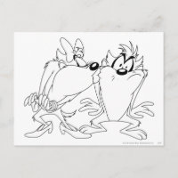 TAZ™ und She-Devil