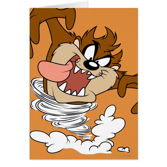 TAZ™ Whirlpool Tornado (Vorne)