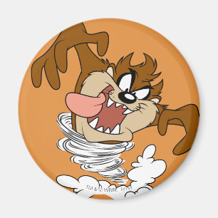 TAZ™ Whirlpool Tornado Magnet