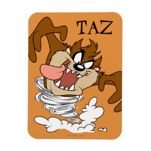 TAZ™ Whirlpool Tornado Magnet