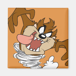 TAZ™ Whirlpool Tornado Magnet