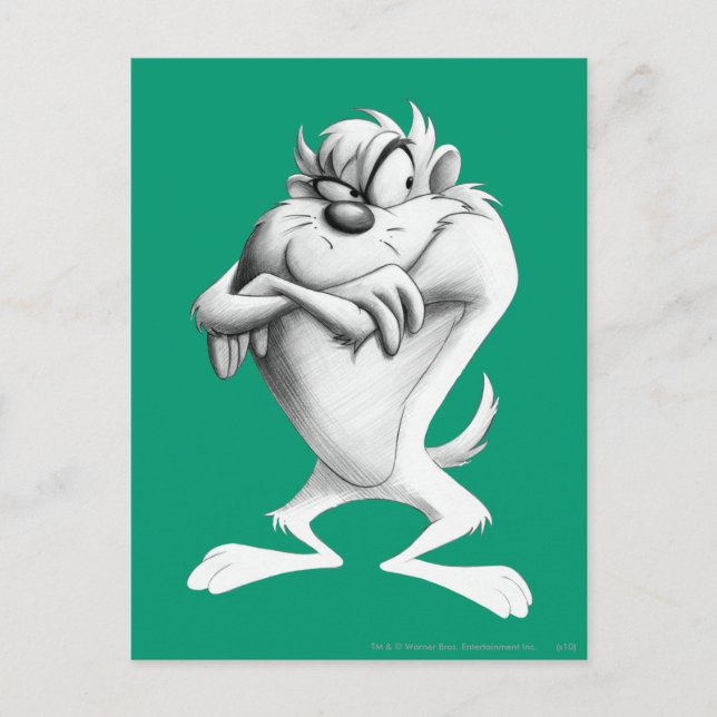 TAZ™ Zeichnend Postkarte (Vorderseite)