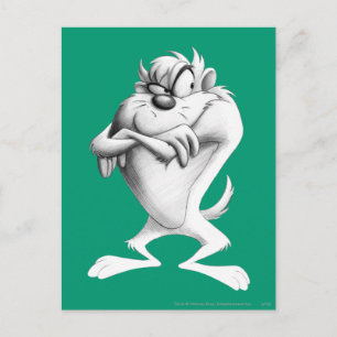 TAZ™ Zeichnend Postkarte