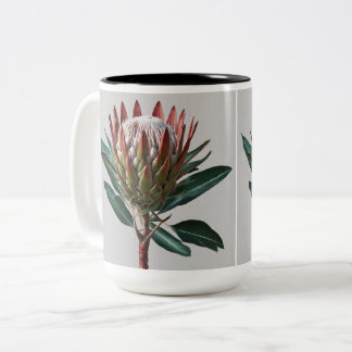 Taza Protea Zweifarbige Tasse