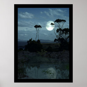 Tazzie Bäume Poster