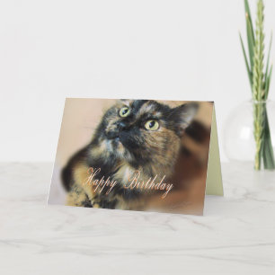 TazzieBday-anpassen Karte