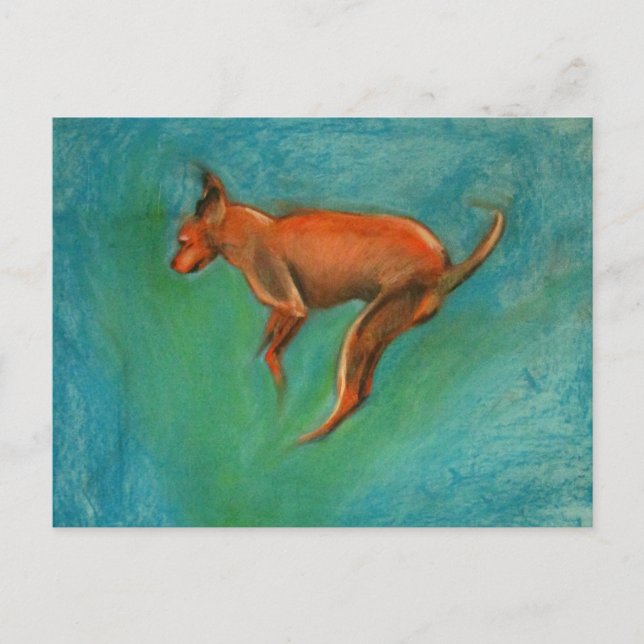 Tazzmaster Postkarte (Vorderseite)