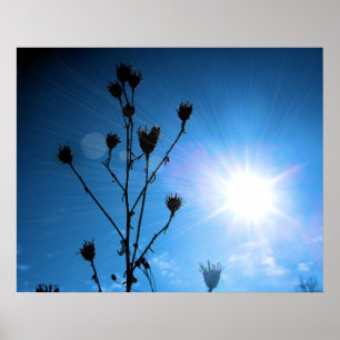 TBA Award Gewinner Hope Poster