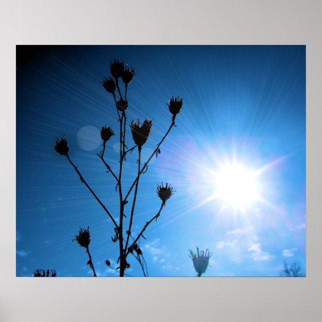 TBA Award Gewinner Hope Poster (Vorne)