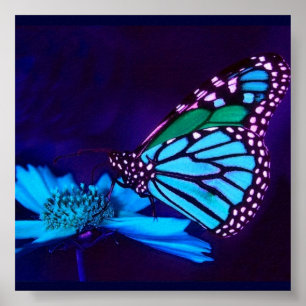 - TBA - Schmetterling im blauen hellen Plakat