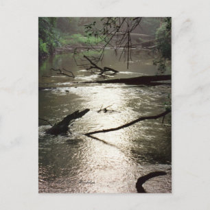 Tchefuncte Glimmer Postkarte