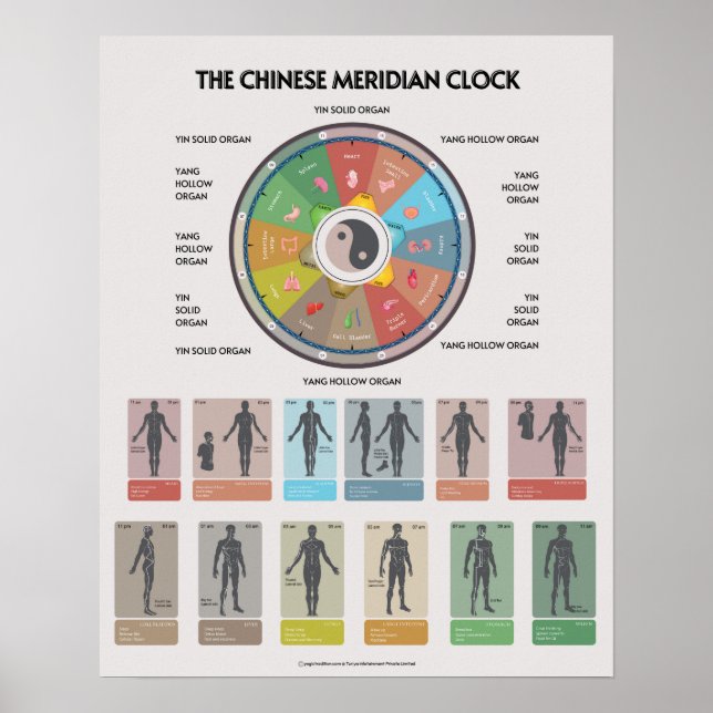 TCM Meridian Organ Clock Poster, Chinese Medicine Poster (Vorne)