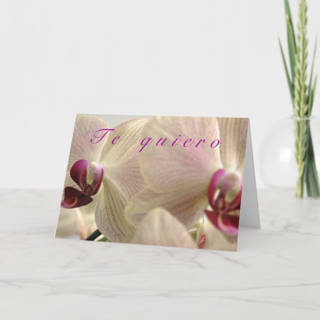 "Te Quiero" Feiertagskarte (Vorderseite)