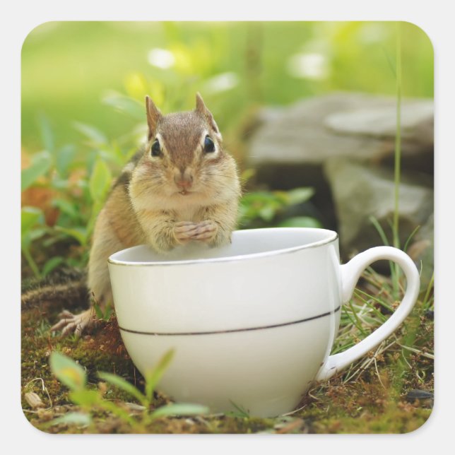 Tea Time Chipmunk Quadratischer Aufkleber (Vorderseite)