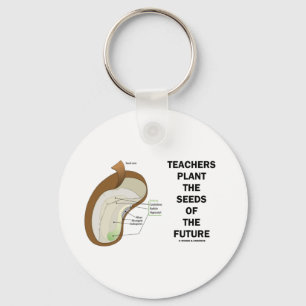 Teachers Plant The Seeds Of The Future (Bean Seed) Schlüsselanhänger