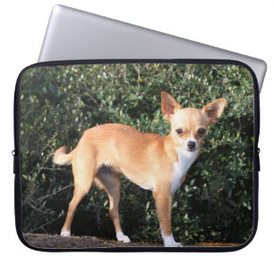 Teacup-Chihuahua-Welpe Laptopschutzhülle