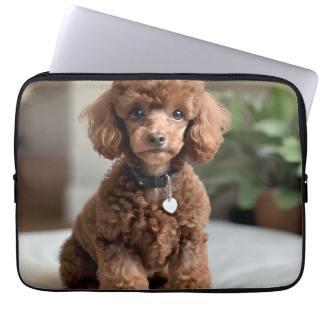 Teacup Poodle 2 Laptopschutzhülle (Vorderseite)