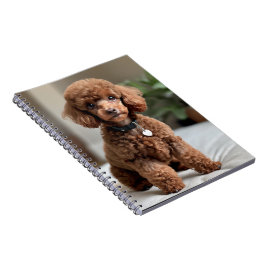 Teacup Poodle 2 Notizblock