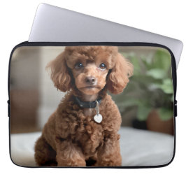 Teacup-Pudel 2 Laptopschutzhülle