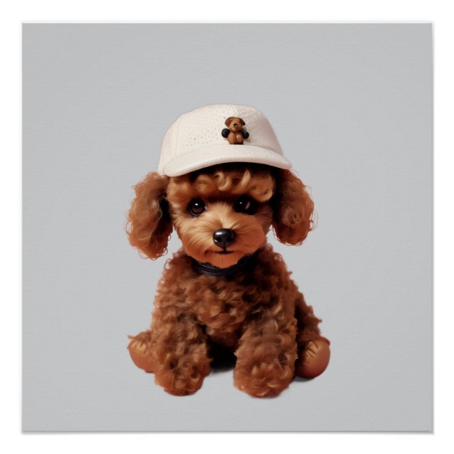 Teacup-Pudel mit Hut Poster (Vorderseite)