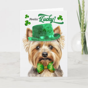 Teacup Yorkie Dog Feelin' Lucky St Patrick's Day Feiertagskarte