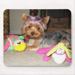 Teacup Yorkie lila Prinzessin Mousepad