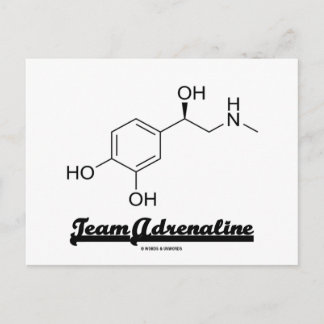 Team Adrenalin (chemischer Spaß von Molekülen) Postkarte