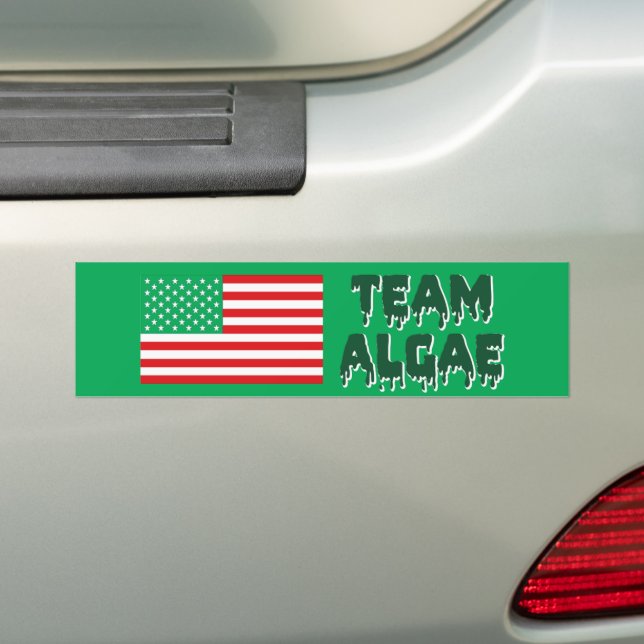 Team Algae Reflecting Pool Lustige Anti-Trump Autoaufkleber (Auf Auto)