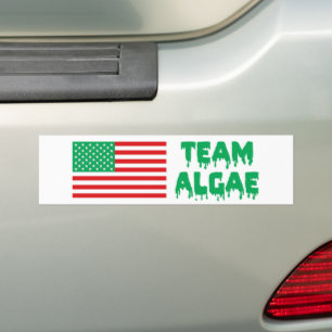 Team Algae Reflecting Pool Lustige Anti-Trump Autoaufkleber