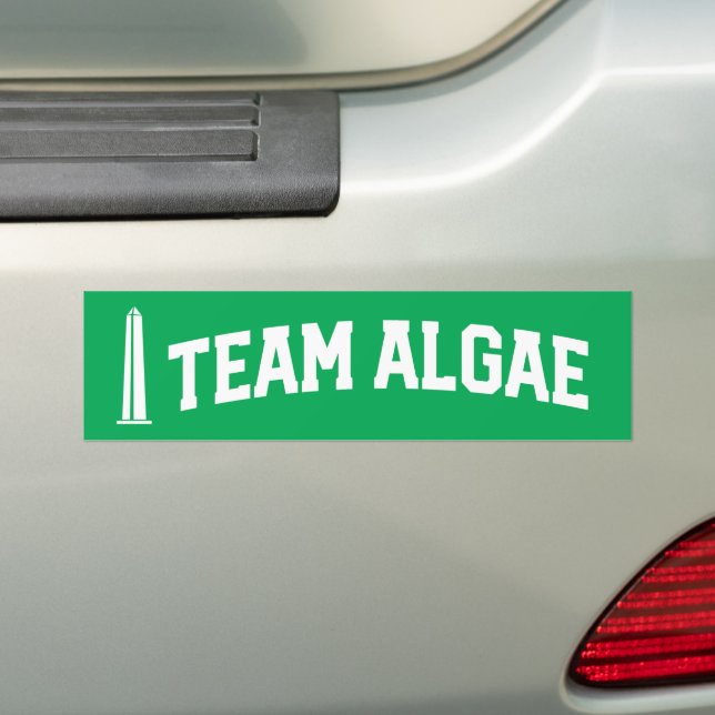 Team Algae Reflecting Pool Lustige Anti-Trump Autoaufkleber (Auf Auto)