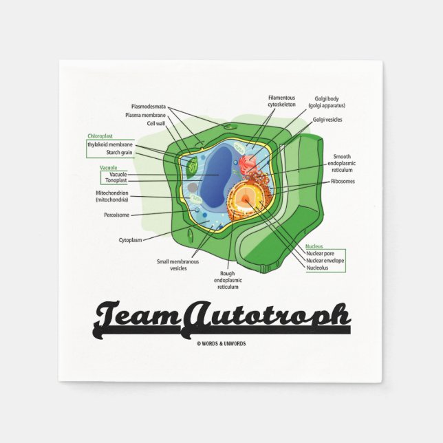Team Autotrophe Pflanze Cell Biology Spaß Serviette (Vorderseite)