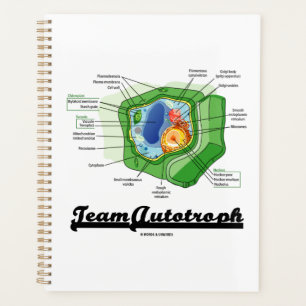 Team Autotrophe Zellbiologie der Pflanze Planer