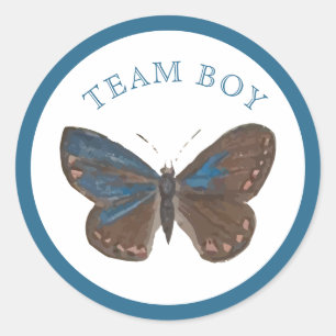 Team Baby Boy Elegant Butterfly Gender Reveal Runder Aufkleber