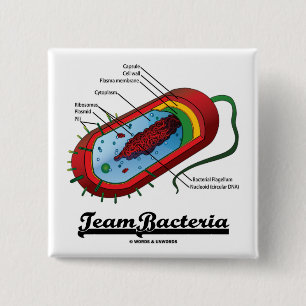 Team-Bakterien (Prokaryote) Button