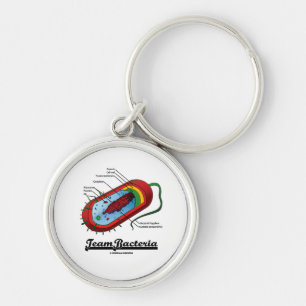 Team-Bakterien (Prokaryote) Schlüsselanhänger