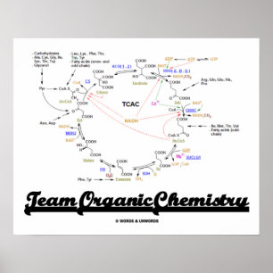 Team Bio Chemie (Krebs Cycle TCAC) Poster