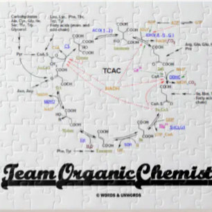 Team Bio Chemie (Krebs Cycle TCAC) Puzzle