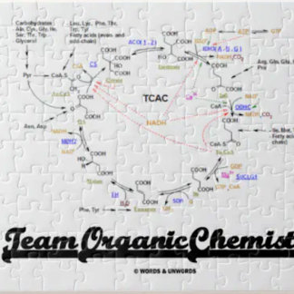 Team Bio Chemie (Krebs Cycle TCAC) Puzzle